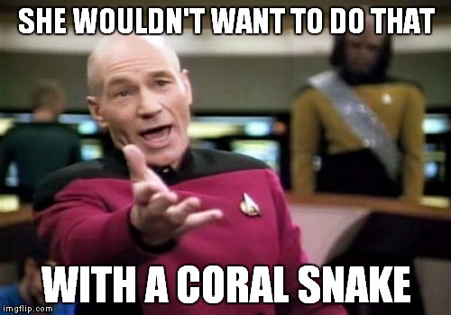 Picard Wtf Meme | SHE WOULDN'T WANT TO DO THAT WITH A CORAL SNAKE | image tagged in memes,picard wtf | made w/ Imgflip meme maker