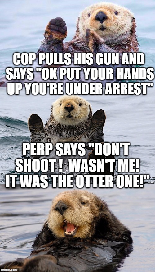 bad pun otter | COP PULLS HIS GUN AND SAYS "OK PUT YOUR HANDS UP YOU'RE UNDER ARREST"; PERP SAYS "DON'T SHOOT !  WASN'T ME! IT WAS THE OTTER ONE!" | image tagged in meme,bad pun,otter,police,arrested | made w/ Imgflip meme maker
