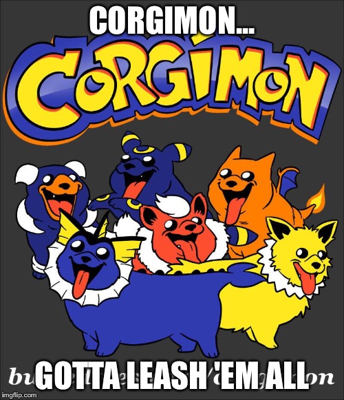 Corgimon | CORGIMON... GOTTA LEASH 'EM ALL | image tagged in corgimon | made w/ Imgflip meme maker