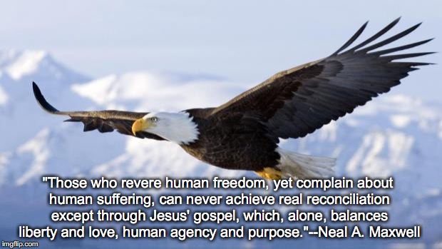 eagle | "Those who revere human freedom, yet complain about human suffering, can never achieve real reconciliation except through Jesus' gospel, which, alone, balances liberty and love, human agency and purpose."--Neal A. Maxwell | image tagged in eagle | made w/ Imgflip meme maker
