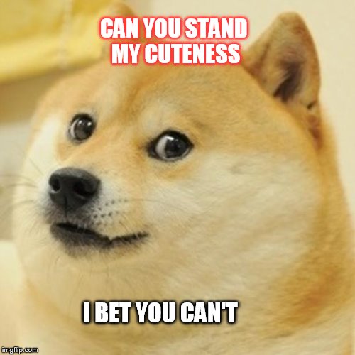 Doge Meme - Imgflip