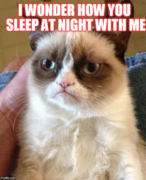 Grumpy Cat | I WONDER HOW YOU SLEEP AT NIGHT WITH ME | image tagged in memes,grumpy cat | made w/ Imgflip meme maker