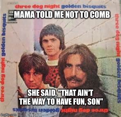 MAMA TOLD ME NOT TO COMB SHE SAID, "THAT AIN'T THE WAY TO HAVE FUN, SON" | made w/ Imgflip meme maker