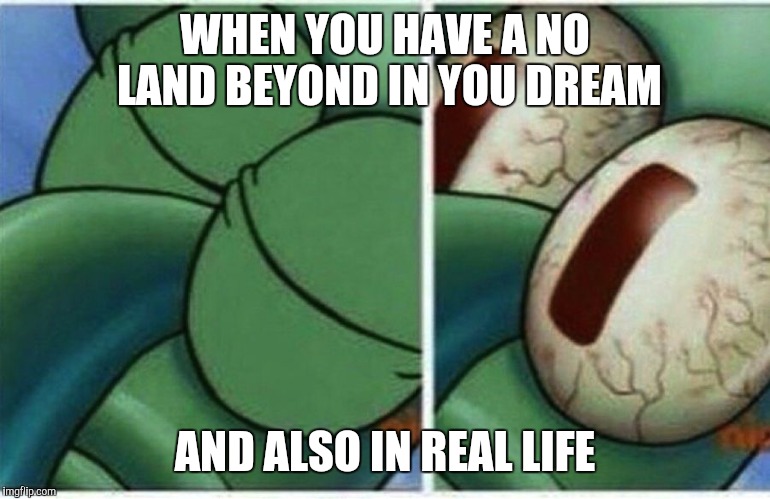 Squidward | WHEN YOU HAVE A NO LAND BEYOND IN YOU DREAM; AND ALSO IN REAL LIFE | image tagged in squidward | made w/ Imgflip meme maker