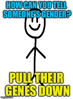 HOW CAN YOU TELL SOMEONE'S GENDER? PULL THEIR GENES DOWN | made w/ Imgflip meme maker