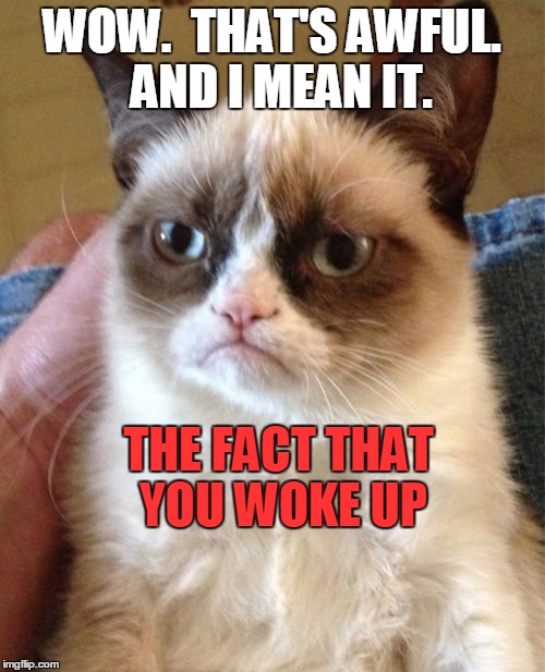 Grumpy Cat Meme | WOW.  THAT'S AWFUL.  AND I MEAN IT. THE FACT THAT YOU WOKE UP | image tagged in memes,grumpy cat | made w/ Imgflip meme maker