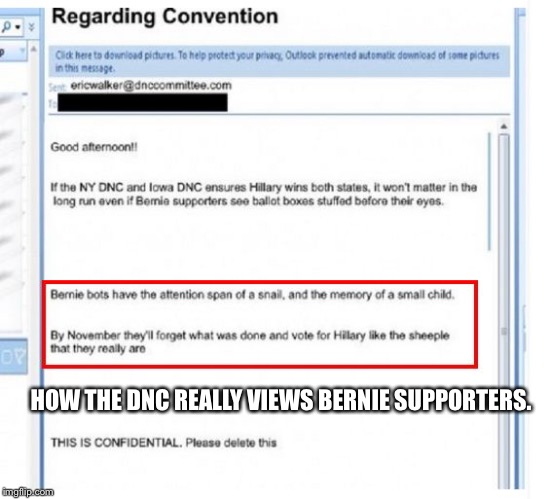 DNCleaks | HOW THE DNC REALLY VIEWS BERNIE SUPPORTERS. | image tagged in dncleaks | made w/ Imgflip meme maker