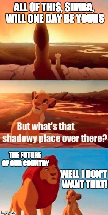 Simba Shadowy Place Meme | ALL OF THIS, SIMBA, WILL ONE DAY BE YOURS; THE FUTURE OF OUR COUNTRY; WELL I DON'T WANT THAT! | image tagged in memes,simba shadowy place | made w/ Imgflip meme maker