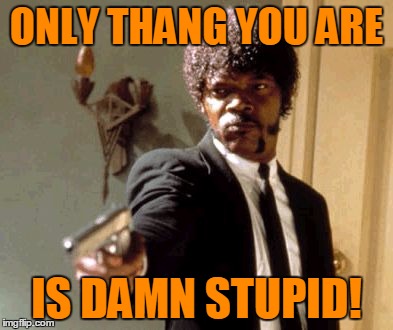 Say That Again I Dare You Meme | ONLY THANG YOU ARE IS DAMN STUPID! | image tagged in memes,say that again i dare you | made w/ Imgflip meme maker