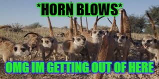 meerkat army | *HORN BLOWS*; OMG IM GETTING OUT OF HERE | image tagged in memes,meerkats | made w/ Imgflip meme maker