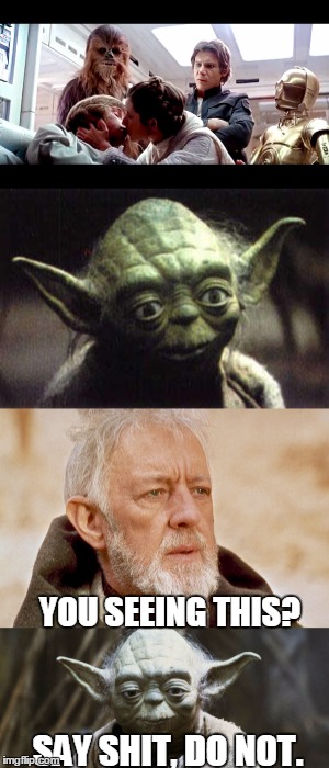 Luke-Leia Kiss: Jedi Reaction | YOU SEEING THIS? SAY SHIT, DO NOT. | image tagged in star wars yoda,luke skywalker,obi wan kenobi | made w/ Imgflip meme maker