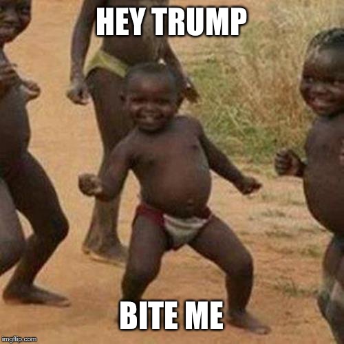 Third World Success Kid | HEY TRUMP; BITE ME | image tagged in memes,third world success kid | made w/ Imgflip meme maker