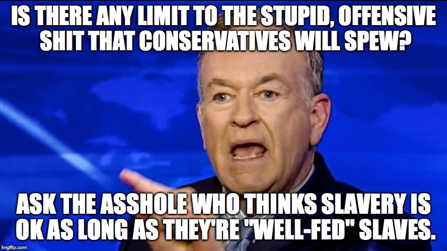 Bill O'reilly | IS THERE ANY LIMIT TO THE STUPID, OFFENSIVE SHIT THAT CONSERVATIVES WILL SPEW? ASK THE ASSHOLE WHO THINKS SLAVERY IS OK AS LONG AS THEY'RE "WELL-FED" SLAVES. | image tagged in bill o'reilly | made w/ Imgflip meme maker