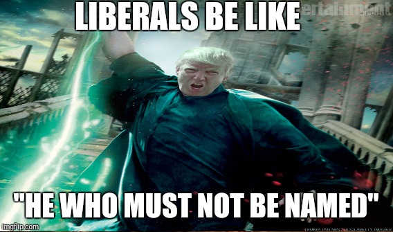 Liberals think if they don't acknowledge something it will go away.   Foolish. | LIBERALS BE LIKE; "HE WHO MUST NOT BE NAMED" | image tagged in politics,political meme,hillary clinton lying democrat liberal,donald trump | made w/ Imgflip meme maker