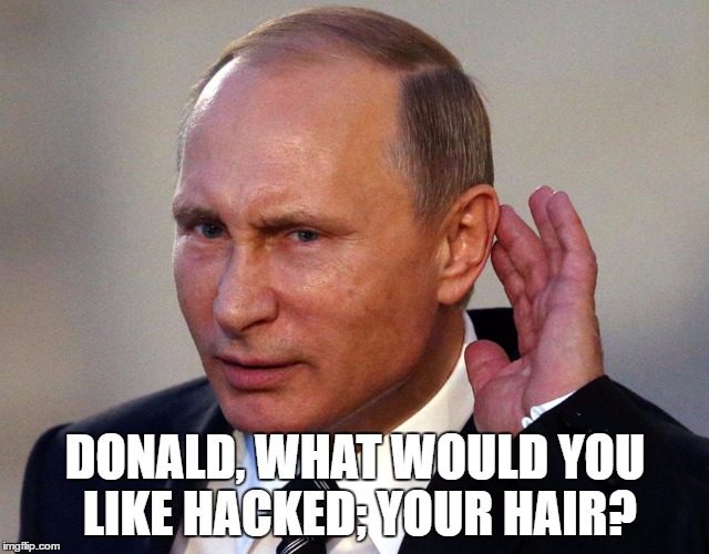 Trumpski | DONALD, WHAT WOULD YOU LIKE HACKED; YOUR HAIR? | image tagged in trump | made w/ Imgflip meme maker