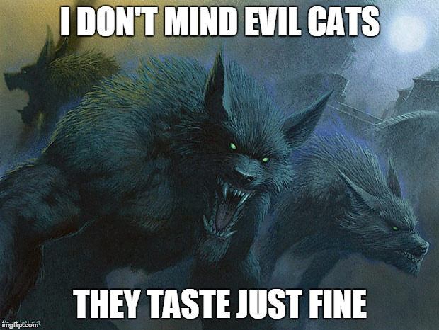 They Taste Just Fine Werewolves | I DON'T MIND EVIL CATS THEY TASTE JUST FINE | image tagged in they taste just fine werewolves | made w/ Imgflip meme maker