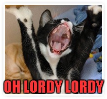 OH LORDY LORDY | made w/ Imgflip meme maker