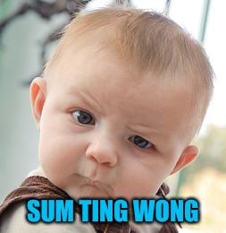 Skeptical Baby Meme | SUM TING WONG | image tagged in memes,skeptical baby | made w/ Imgflip meme maker