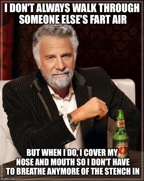 The Most Interesting Man In The World Meme | I DON'T ALWAYS WALK THROUGH SOMEONE ELSE'S FART AIR BUT WHEN I DO, I COVER MY NOSE AND MOUTH SO I DON'T HAVE TO BREATHE ANYMORE OF THE STENC | image tagged in memes,the most interesting man in the world | made w/ Imgflip meme maker