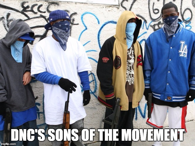 Sons of the Movement | DNC'S SONS OF THE MOVEMENT | image tagged in dnc,blm | made w/ Imgflip meme maker