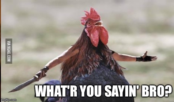 WHAT'R YOU SAYIN' BRO? | made w/ Imgflip meme maker