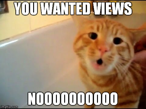 YOU WANTED VIEWS NOOOOOOOOOO | made w/ Imgflip meme maker