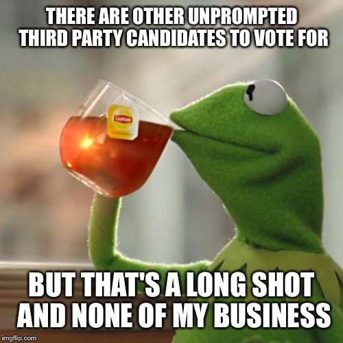 But That's None Of My Business Meme | THERE ARE OTHER UNPROMPTED THIRD PARTY CANDIDATES TO VOTE FOR BUT THAT'S A LONG SHOT AND NONE OF MY BUSINESS | image tagged in memes,but thats none of my business,kermit the frog | made w/ Imgflip meme maker