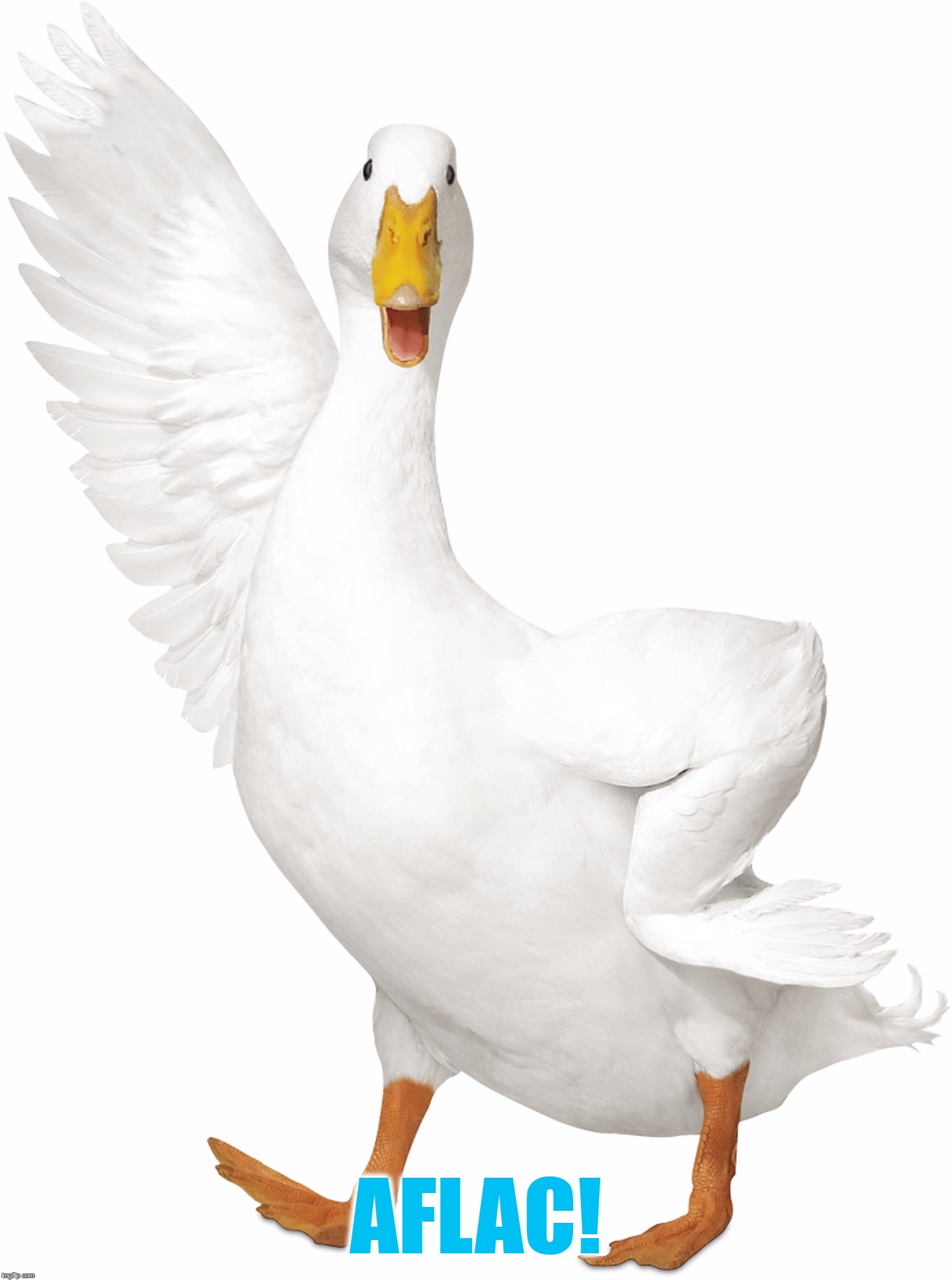 AFLAC! | made w/ Imgflip meme maker