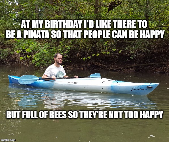Kayak Kelly | AT MY BIRTHDAY I'D LIKE THERE TO BE A PINATA SO THAT PEOPLE CAN BE HAPPY; BUT FULL OF BEES SO THEY'RE NOT TOO HAPPY | image tagged in birthday,funny,dark humor,kayak kelly | made w/ Imgflip meme maker