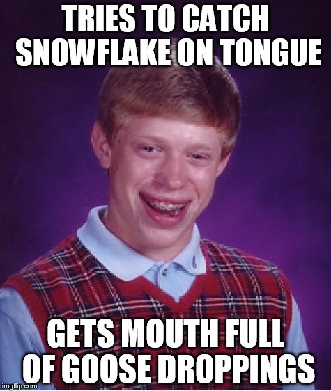 Bad Luck Brian Meme | TRIES TO CATCH SNOWFLAKE ON TONGUE; GETS MOUTH FULL OF GOOSE DROPPINGS | image tagged in memes,bad luck brian | made w/ Imgflip meme maker