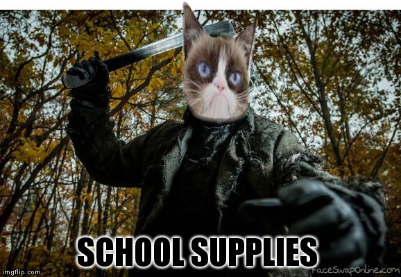 grumpy cat jason | SCHOOL SUPPLIES | image tagged in grumpy cat jason | made w/ Imgflip meme maker