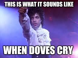 Prince | THIS IS WHAT IT SOUNDS LIKE; WHEN DOVES CRY | image tagged in prince | made w/ Imgflip meme maker