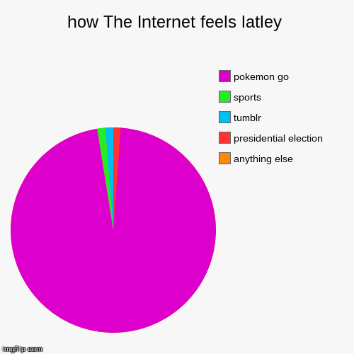 how The Internet feels latley | anything else, presidential election, tumblr, sports, pokemon go | image tagged in funny,pie charts | made w/ Imgflip chart maker