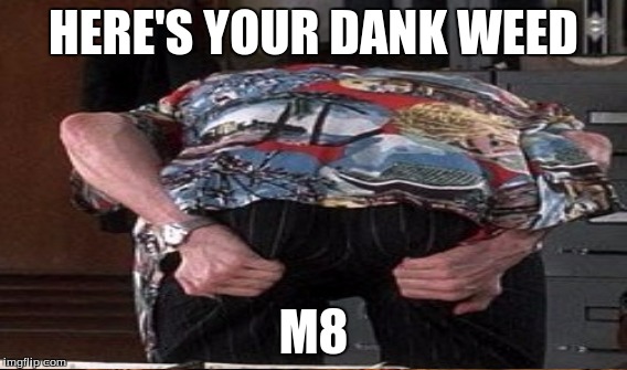 HERE'S YOUR DANK WEED M8 | made w/ Imgflip meme maker