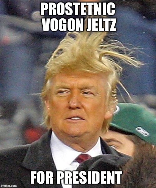 Donald Trumph hair | PROSTETNIC VOGON JELTZ; FOR PRESIDENT | image tagged in donald trumph hair | made w/ Imgflip meme maker
