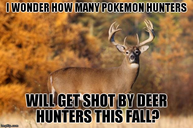 If you got out this fall, wear blaze orange! | I WONDER HOW MANY POKEMON HUNTERS; WILL GET SHOT BY DEER HUNTERS THIS FALL? | image tagged in whitetail deer,pokemon go | made w/ Imgflip meme maker