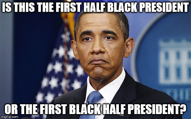 Pres. Barack Obama | IS THIS THE FIRST HALF BLACK PRESIDENT; OR THE FIRST BLACK HALF PRESIDENT? | image tagged in pres barack obama | made w/ Imgflip meme maker