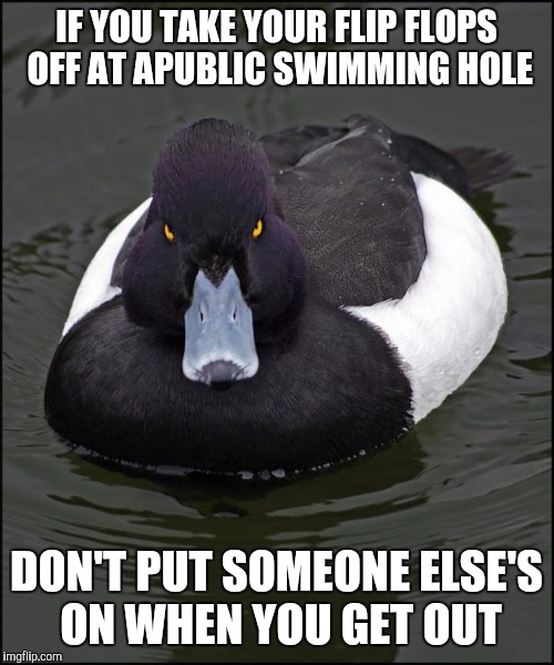 Angry duck | IF YOU TAKE YOUR FLIP FLOPS OFF AT APUBLIC SWIMMING HOLE; DON'T PUT SOMEONE ELSE'S ON WHEN YOU GET OUT | image tagged in angry duck,AdviceAnimals | made w/ Imgflip meme maker