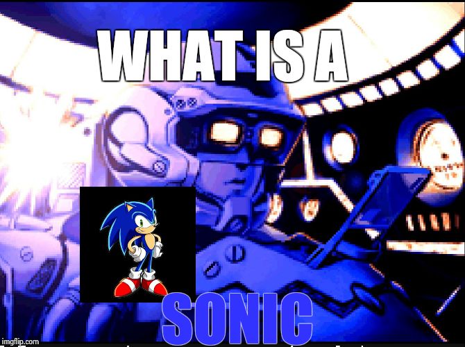Sonic? On my ship? | WHAT IS A; SONIC | image tagged in dodonpachi pilot,sonic | made w/ Imgflip meme maker