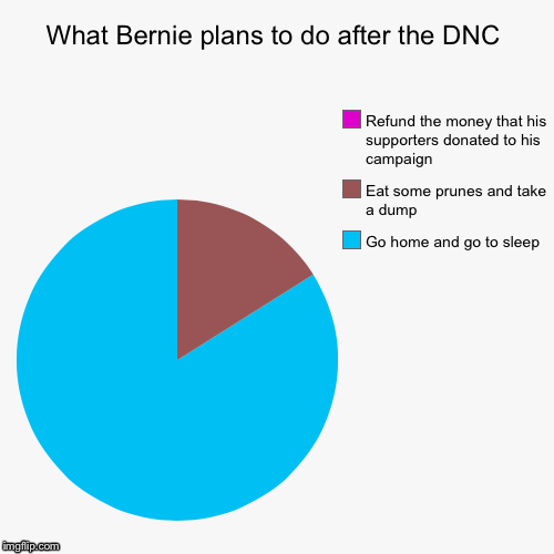 What else would you expect? | image tagged in funny,pie charts,bernie sanders,dnc | made w/ Imgflip chart maker