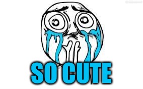 crying because of cute | SO CUTE | image tagged in crying because of cute | made w/ Imgflip meme maker