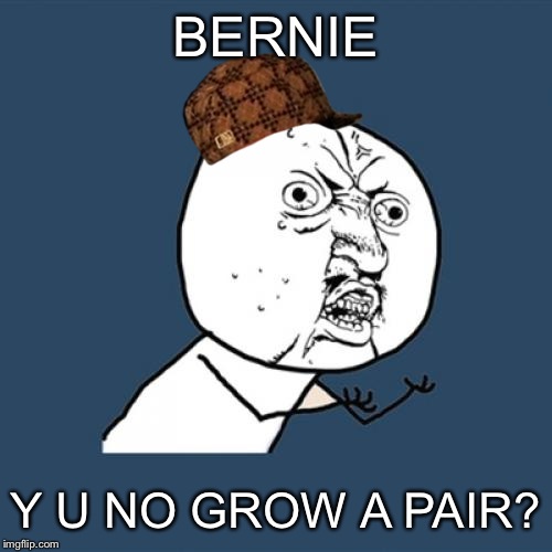 Y U No | BERNIE; Y U NO GROW A PAIR? | image tagged in memes,y u no,scumbag | made w/ Imgflip meme maker