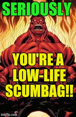 SERIOUSLY YOU'RE A LOW-LIFE SCUMBAG!! | image tagged in red hulk | made w/ Imgflip meme maker