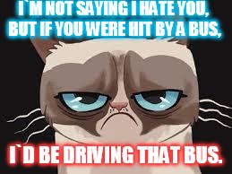 Grumpy Cat Cartoon |  I`M NOT SAYING I HATE YOU, BUT IF YOU WERE HIT BY A BUS, I`D BE DRIVING THAT BUS. | image tagged in grumpy cat cartoon | made w/ Imgflip meme maker