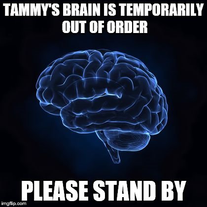 Tammy's brain | TAMMY'S BRAIN IS TEMPORARILY OUT OF ORDER; PLEASE STAND BY | image tagged in brain | made w/ Imgflip meme maker