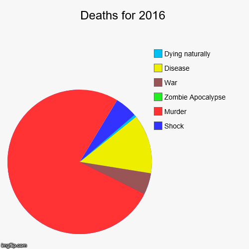 Stop killing people | image tagged in funny,pie charts,kill,death,2016 | made w/ Imgflip chart maker