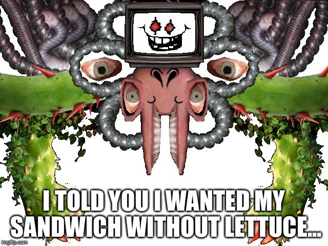 The other day I  went to a sandwich place and ordered it without lettuce. They gave me lettuce. | I TOLD YOU I WANTED MY SANDWICH WITHOUT LETTUCE... | image tagged in omega flowey | made w/ Imgflip meme maker