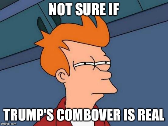 Futurama Fry | NOT SURE IF; TRUMP'S COMBOVER IS REAL | image tagged in memes,futurama fry | made w/ Imgflip meme maker