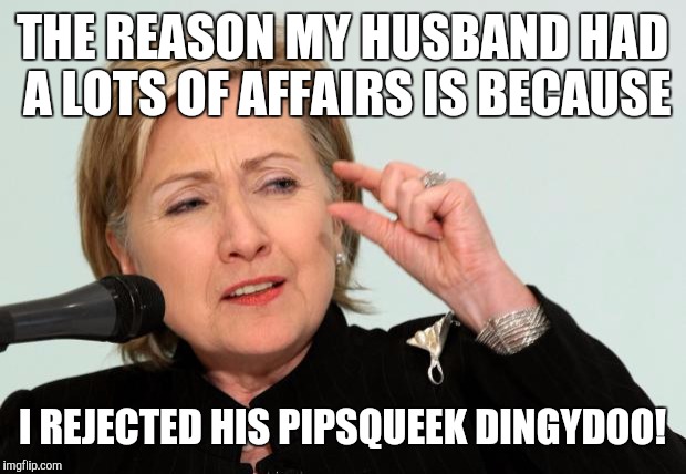 Hillary Clinton Fingers | THE REASON MY HUSBAND HAD A LOTS OF AFFAIRS IS BECAUSE; I REJECTED HIS PIPSQUEEK DINGYDOO! | image tagged in hillary clinton fingers | made w/ Imgflip meme maker