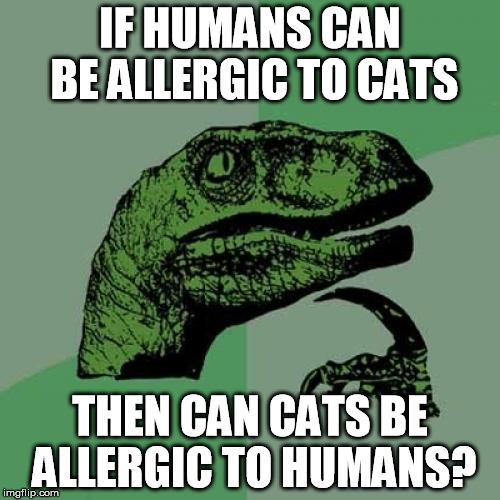 Philosoraptor Meme | IF HUMANS CAN BE ALLERGIC TO CATS; THEN CAN CATS BE ALLERGIC TO HUMANS? | image tagged in memes,philosoraptor | made w/ Imgflip meme maker